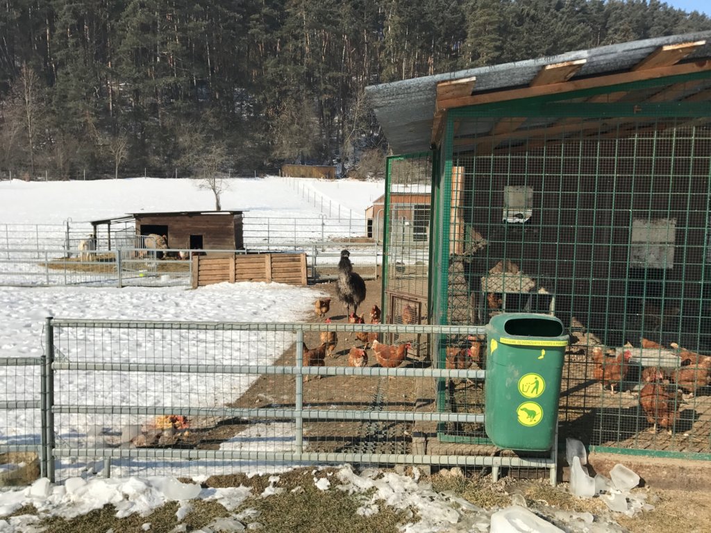 pimpi-bábo-bábätko-cestovanie s bábom-cestovanie-mama blog-zvieratká-mini zoo-zveropark-ubytovanie so zážitkom-slovensko