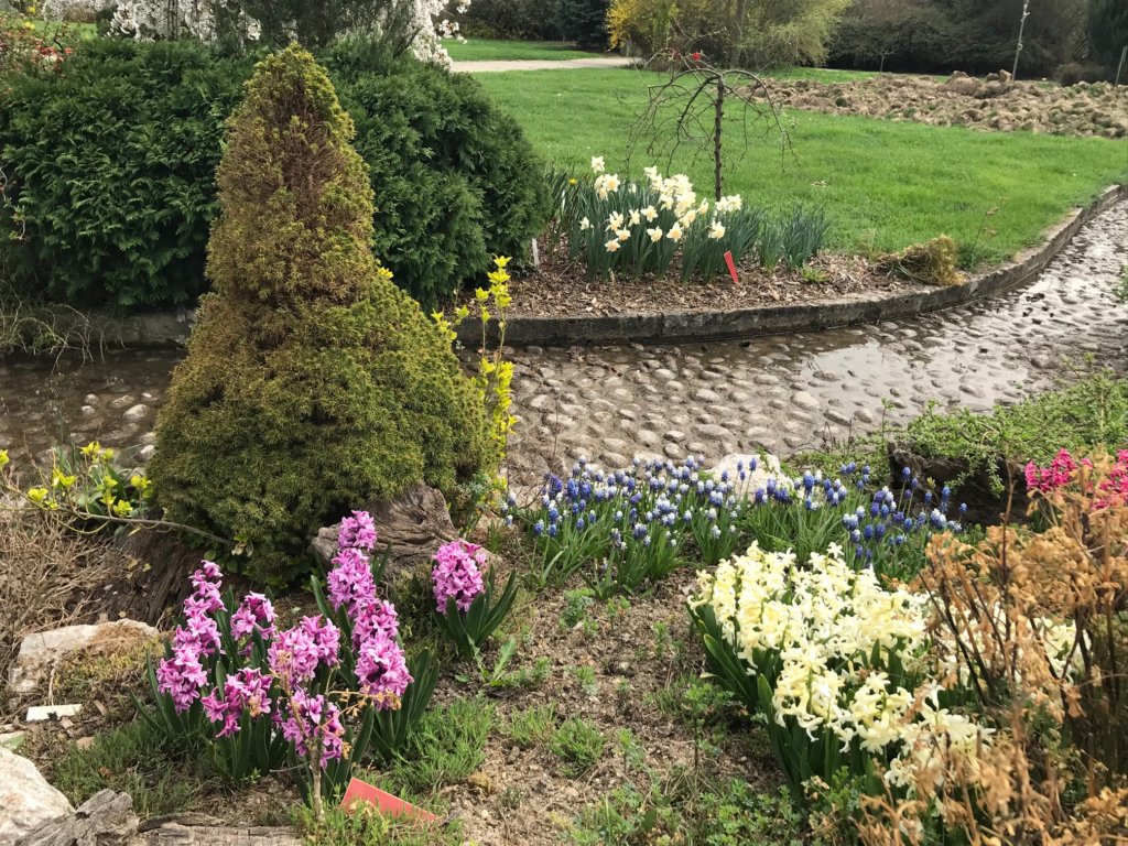 pimpi-cestovanie-bábo-bábätko-botanická záhrada-košice-jar-prechádzka-les-zeleň-tulipány-narcisy