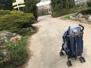 pimpi-cestovanie-bábo-bábätko-botanická záhrada-košice-jar-prechádzka-les-zeleň-tulipány-narcisy
