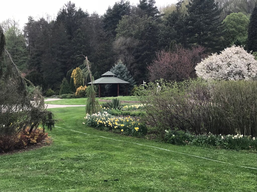 pimpi-cestovanie-bábo-bábätko-botanická záhrada-košice-jar-prechádzka-les-zeleň-tulipány-narcisy