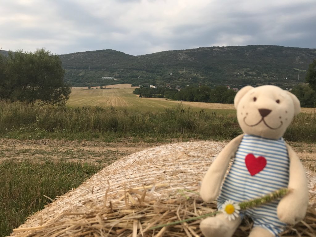 pimpi-cestovanie-bábo-bábätko-baby friendly-edina-jablonov nad turňou-víno-kras-slovenský kras-krasko-slimák-preliezky-granárium-sýpka-piecky-pizza deň