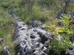 pimpi-bábodosveta-kam s deťmi-bábätko-bábo-cestovanie-slovensko-krásna príroda-národný park-slovenský kras-zádiel-zádielska tiesňava-chata-dolina-turistika-kočík-motýle-bufet-túra-hrad