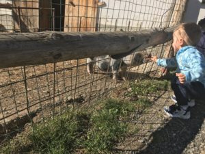 pimpi-bábo-bábätko-cestovanie s bábom-cestovanie-mama blog-zvieratká-mini zoo-zveropark-ubytovanie so zážitkom-slovensko